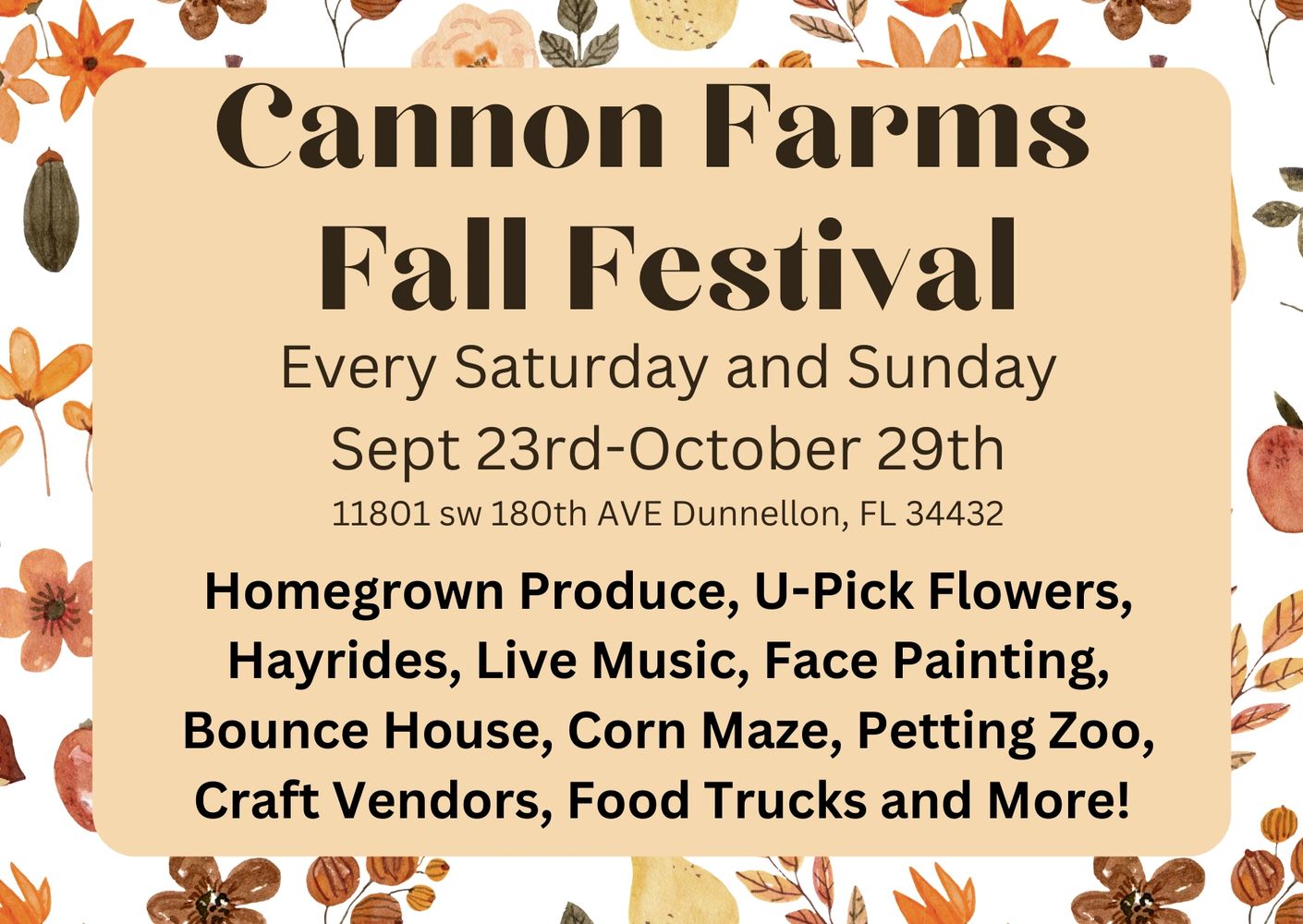 Cannon Farms Sunflower Field Dunnellon, Florida